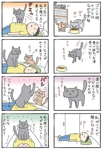コロコロ毛玉日記試し読み2