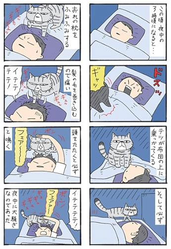 コロコロ毛玉日記試し読み4